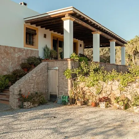 Roser - Santa Gertrudis سان ماتيو دي الباركا